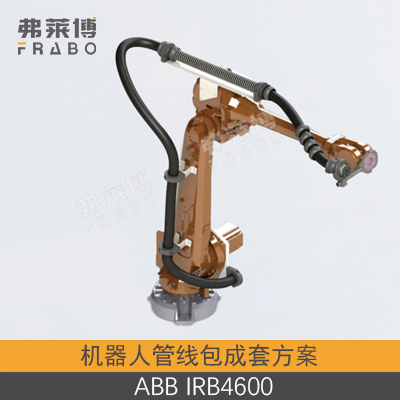 ABB-IRB4600���߰�